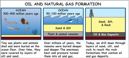 crude oil form